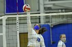 VB vs ENC  Wheaton College Women's Volleyball vs Eastern Nazarene College. - Photo By: KEITH NORDSTROM : Wheaton, volleyball, VB, Eastern Nazarene College